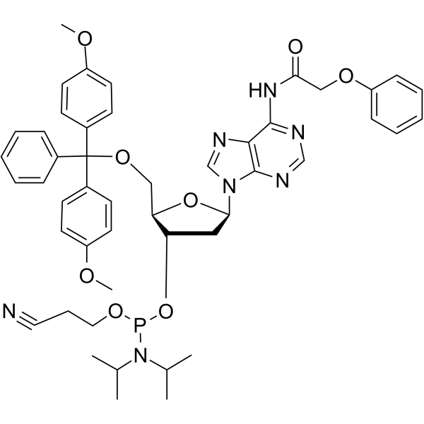 DMT-dA(PAc) Phosphoramidite 110543-74-3